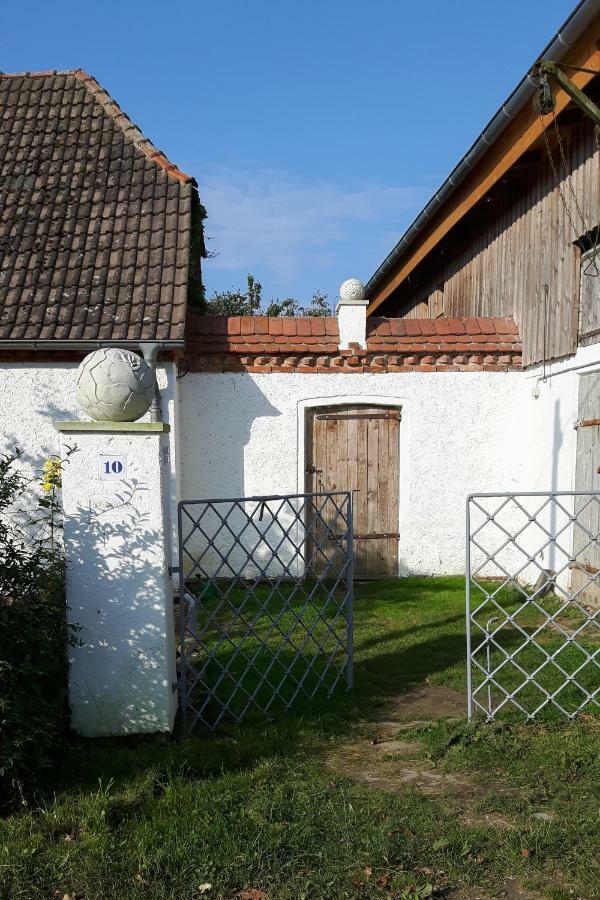 Goldhammer Neuburg  Exteriör bild