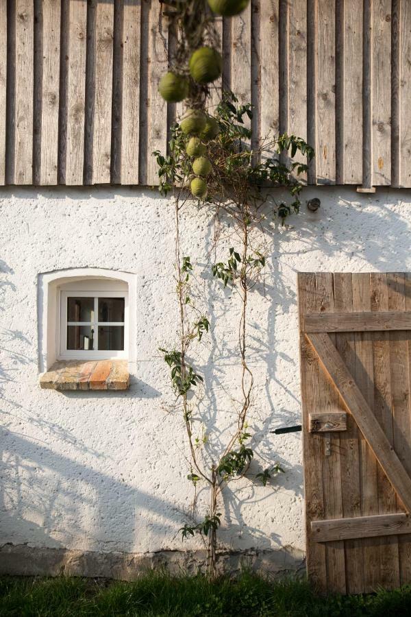 Goldhammer Neuburg  Exteriör bild